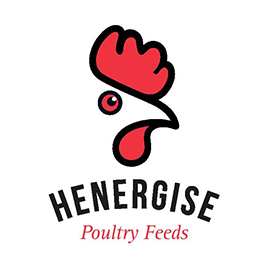 Henergise Logo